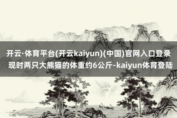 开云·体育平台(开云kaiyun)(中国)官网入口登录  现时两只大熊猫的体重约6公斤-kaiyun体育登陆