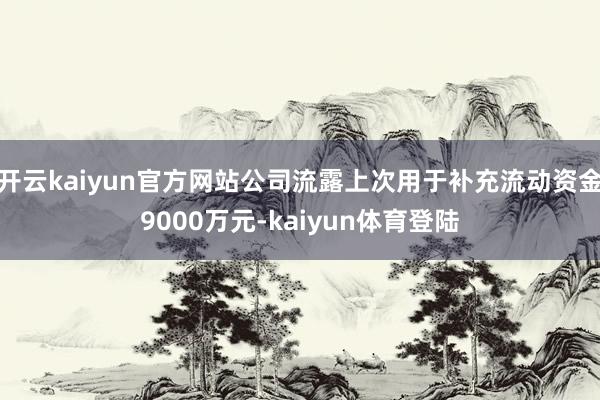 开云kaiyun官方网站公司流露上次用于补充流动资金9000万元-kaiyun体育登陆